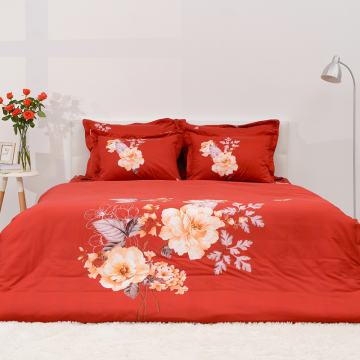 Bộ chăn ga gối cotton SH_BC22 064